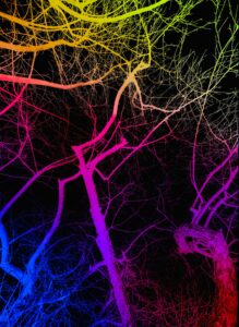 The Impact of Neuromarketing on Influencer Strategies in 2026