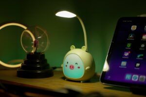 The Integration of Li-Fi Technology in Social Media Platforms