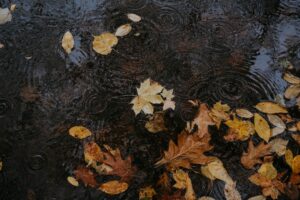 Email Warm-up Strategies That Actually Work in 2026