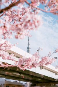 Cold Email Personalization at Scale: AI-Powered Strategies for 2025