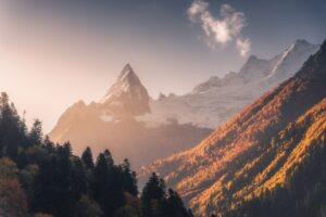 Cold Email Automation: 7 Workflows That Convert Prospects in 2025