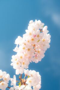 Cold Email Personalization: 7 Advanced Tactics That Actually Work