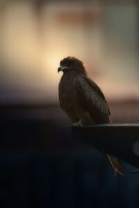 Cold Email Automation: 7 Workflows That Convert Prospects in 2025