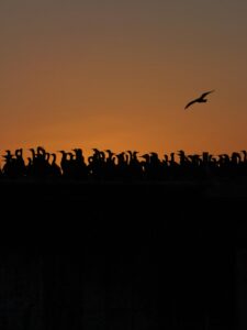 Cold Email Automation: 7 Strategies to Scale Your Outreach in 2025