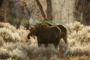 How to Build Automated Email Sequences That Actually Convert