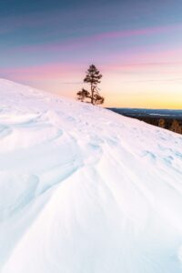 How to Build High-Converting Cold Email Sequences That Actually Work