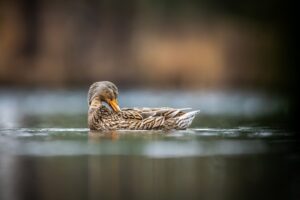 Cold Email Sequences That Convert: 7-Step Framework for 2025