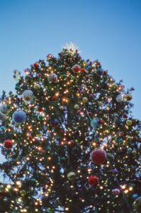 Cold Email Automation: 7 Triggers That Convert Prospects in 2025