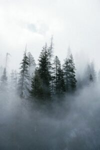 Cold Email Automation: 7 Advanced Workflows That Convert in 2025