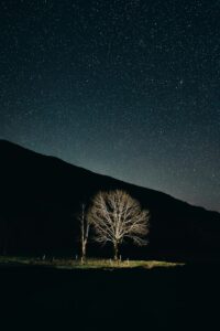 Cold Email Response Rates by Industry: 2025 Benchmarks & Insights