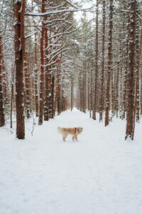 Why 73% of Cold Emails Fail: The Psychology Behind Rejection