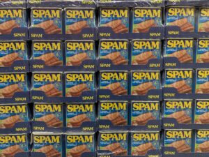 Why Emails Go to Spam: 12 Reasons and How to Fix Them